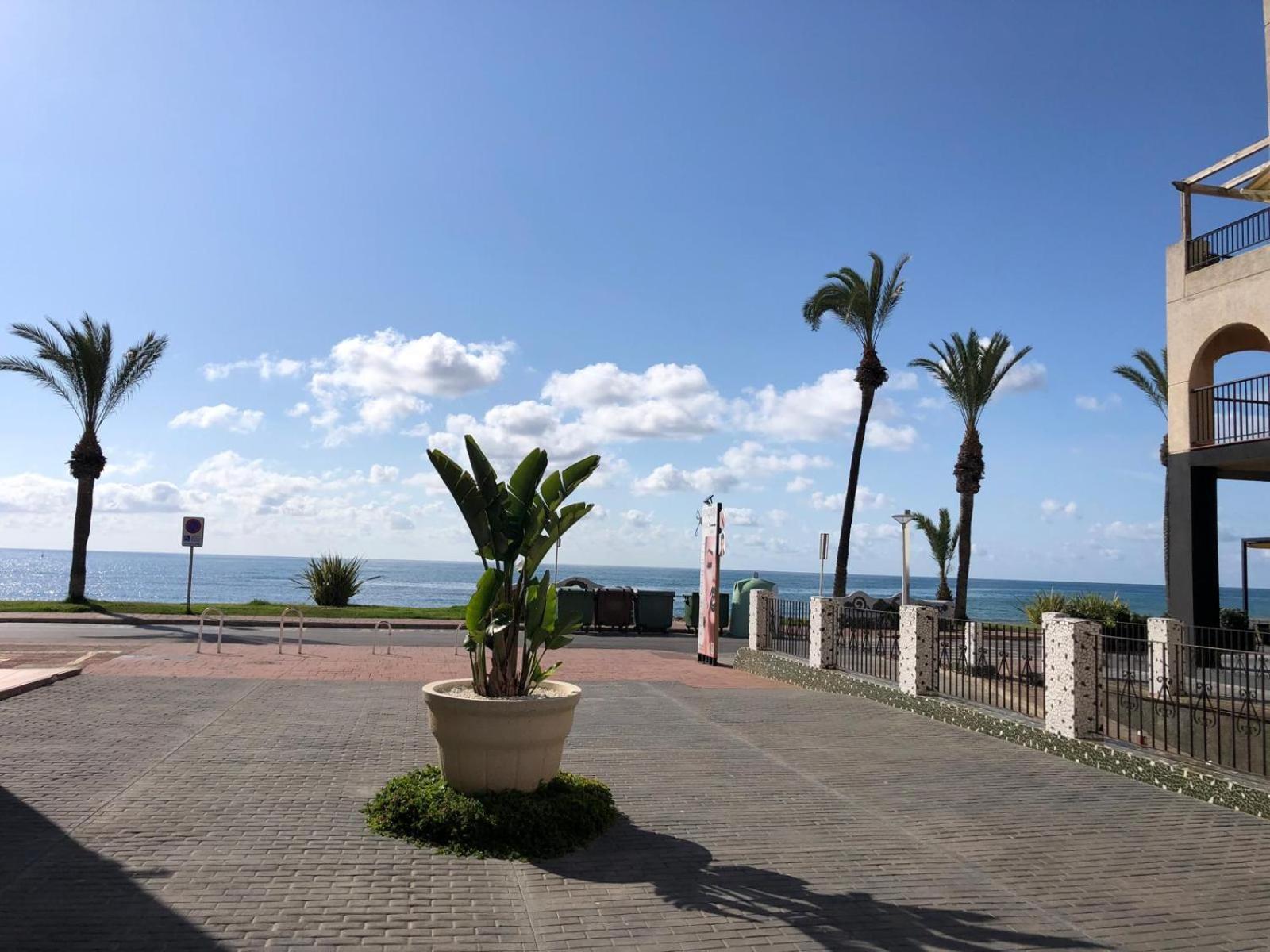 Regata Playa Oropesa del Mar Exterior foto