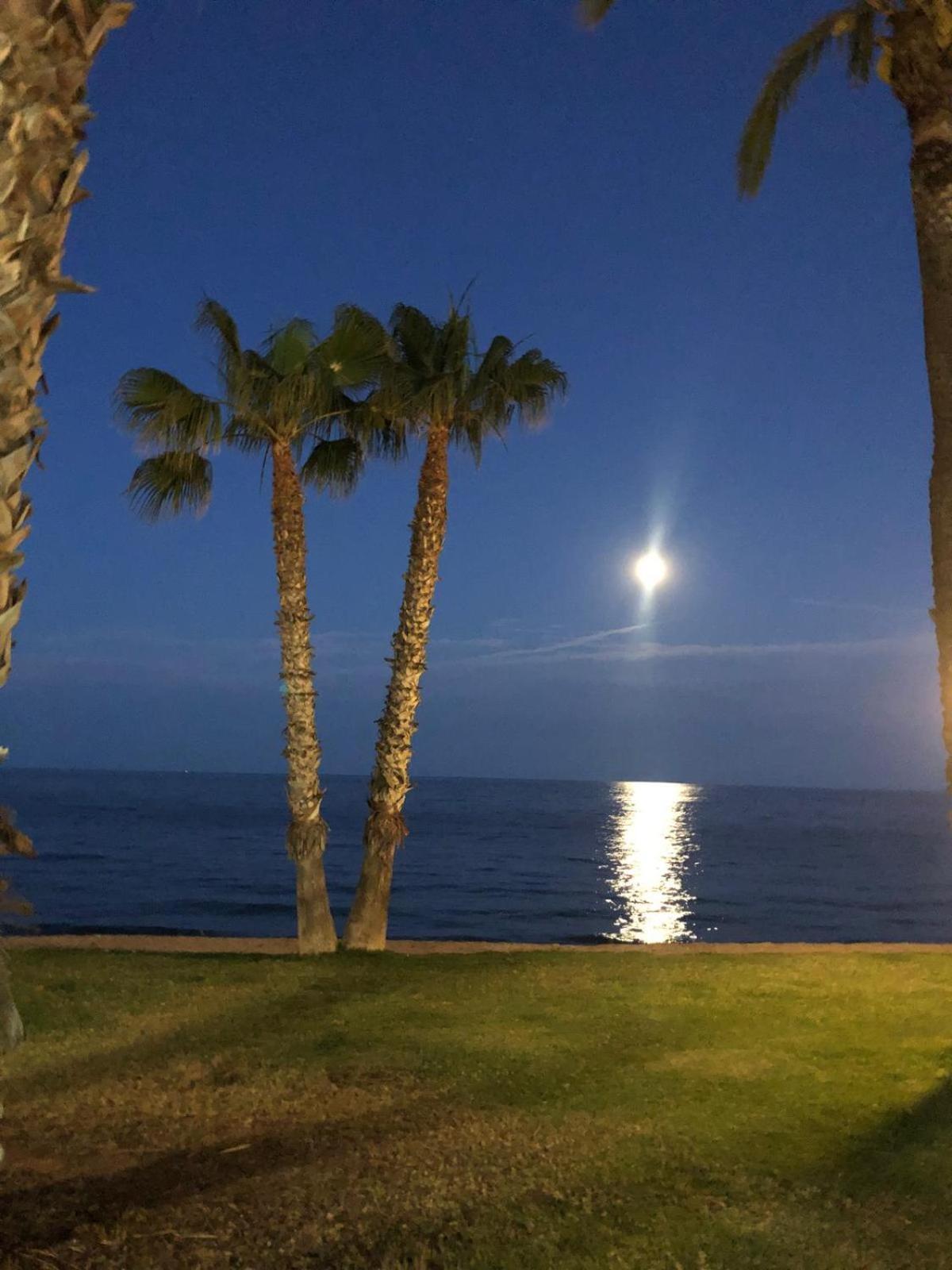 Regata Playa Oropesa del Mar Exterior foto
